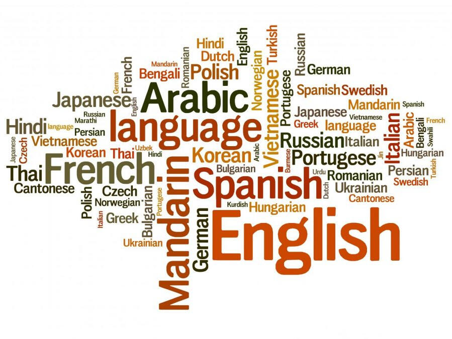 Multilingual &amp; Cross-Border Consulting